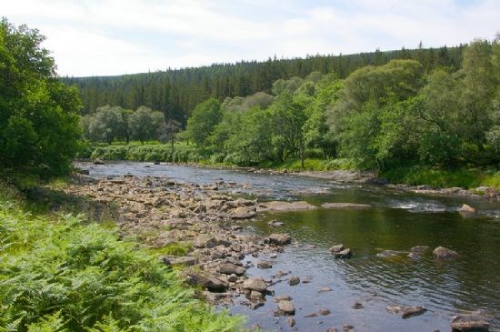 Looking Down the River Cassley